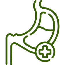 Ícone de Gastroenterologia