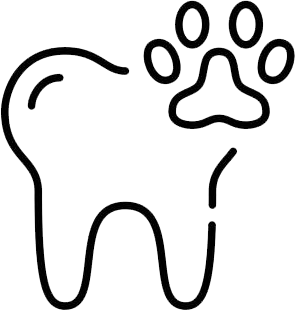 Consulta Veterinária