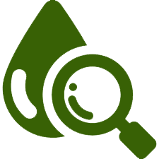 Ícone de Diagnóstico