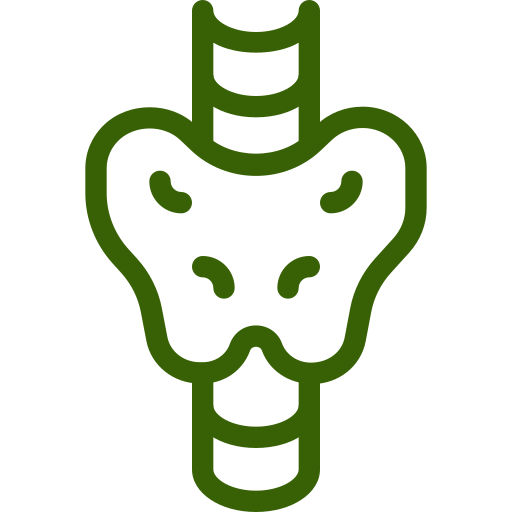 Ícone de Endocrinologia